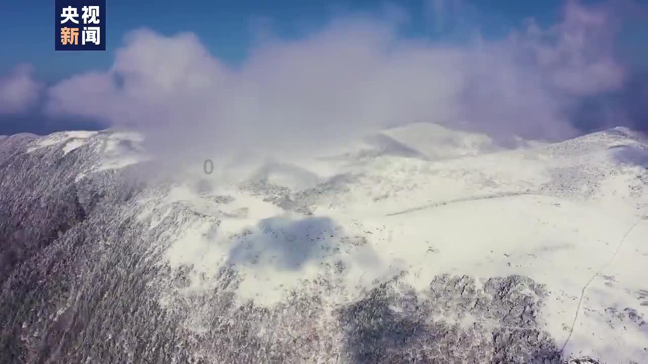 梦幻糖果森林逃生