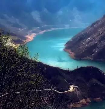 煮小米粥时,记住多加“这一物”,米油多还分层,小米粥特香浓!