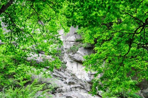 逃离废弃高校