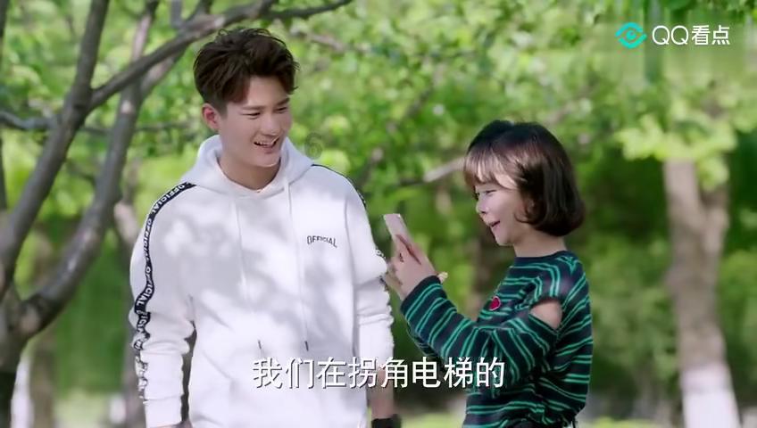 五彩鹦鹉救援