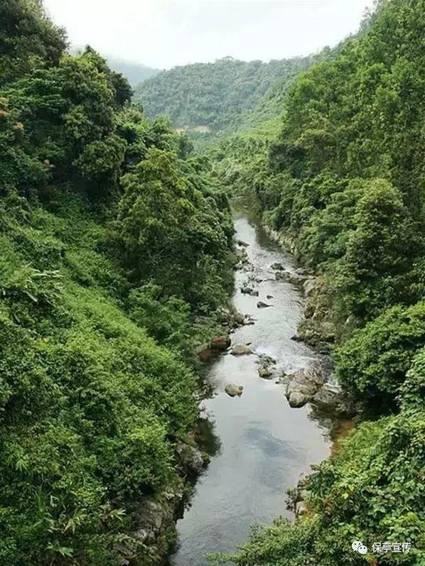手机尾号3877吉凶游戏画面